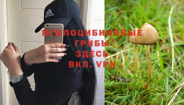 соль ск Семёнов